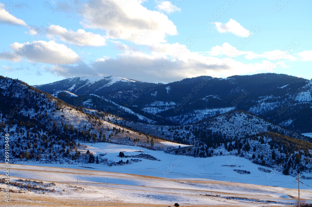 Idaho Winterscape