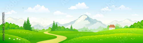 Mountain forest landscape, panoramic background