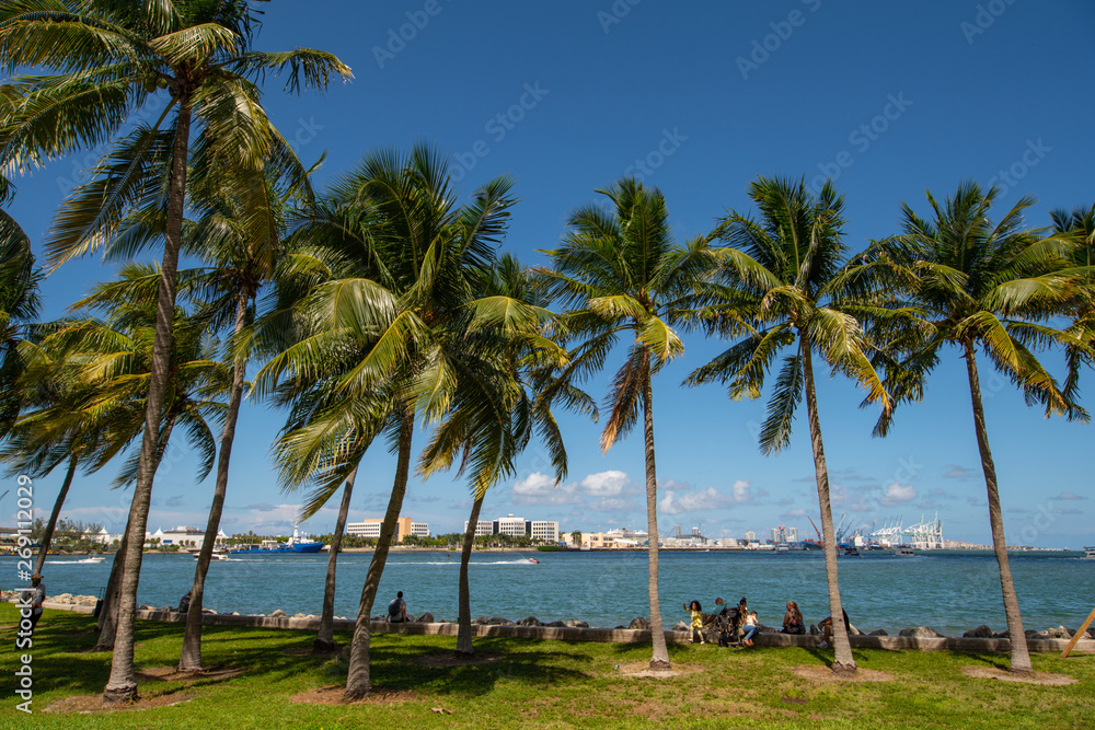 Summer vibes Miami Downtown Bayfront park by the bay