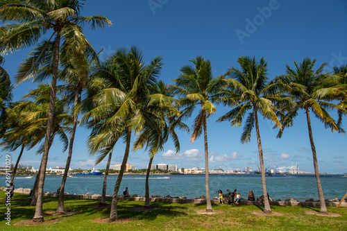 Summer vibes Miami Downtown Bayfront park by the bay