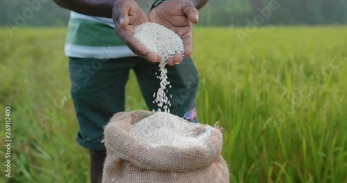 The man picks up a handful of rice and pours it back into the bag.