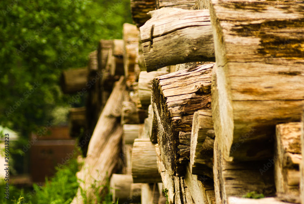 pile of cut down wood