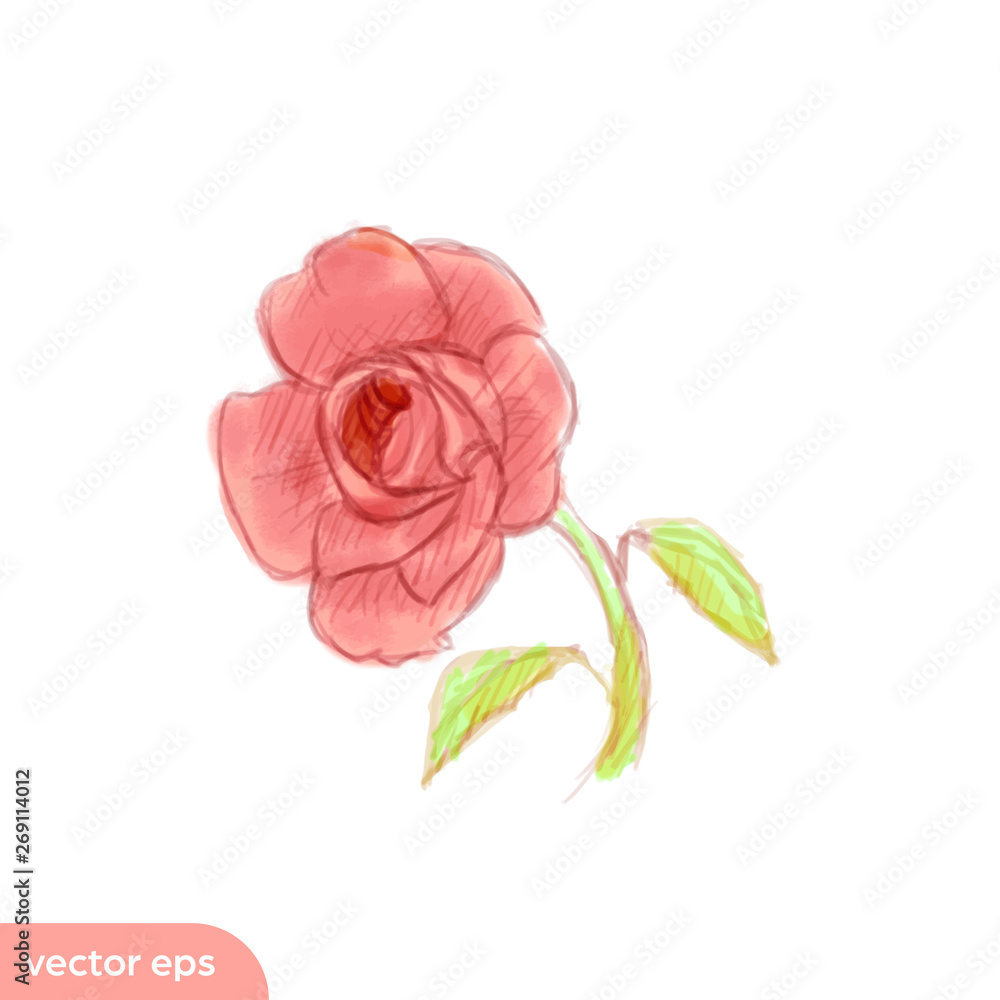 Obraz premium Pink rose flower sketch illustration graphic asset in hand drawing artistic style