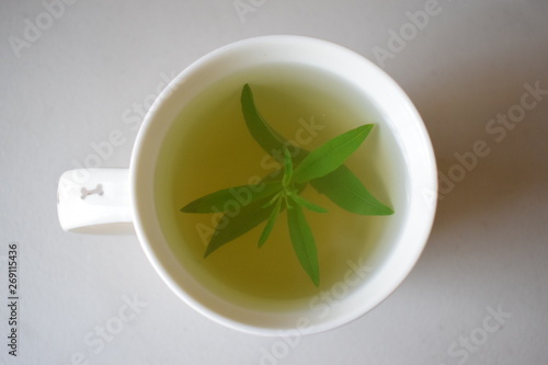 Wallpaper Mural te cedrón Torontodigital.ca