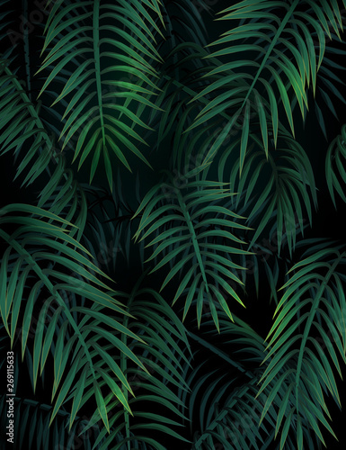 Summer tropical background with dark green palm leaves. 