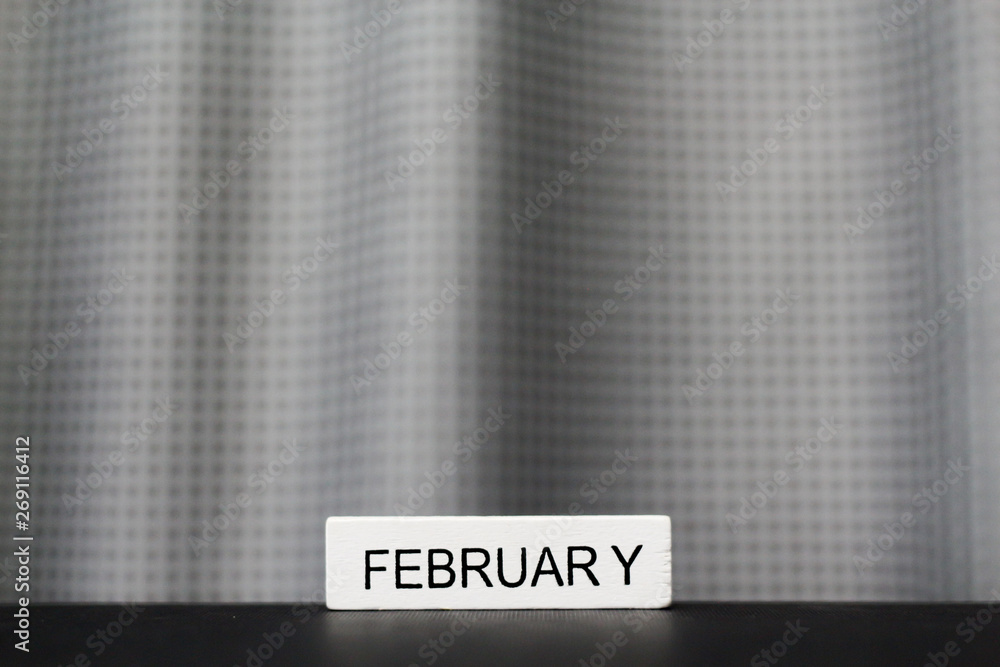 Obraz premium Month of February on a white wooden blocks calendar
