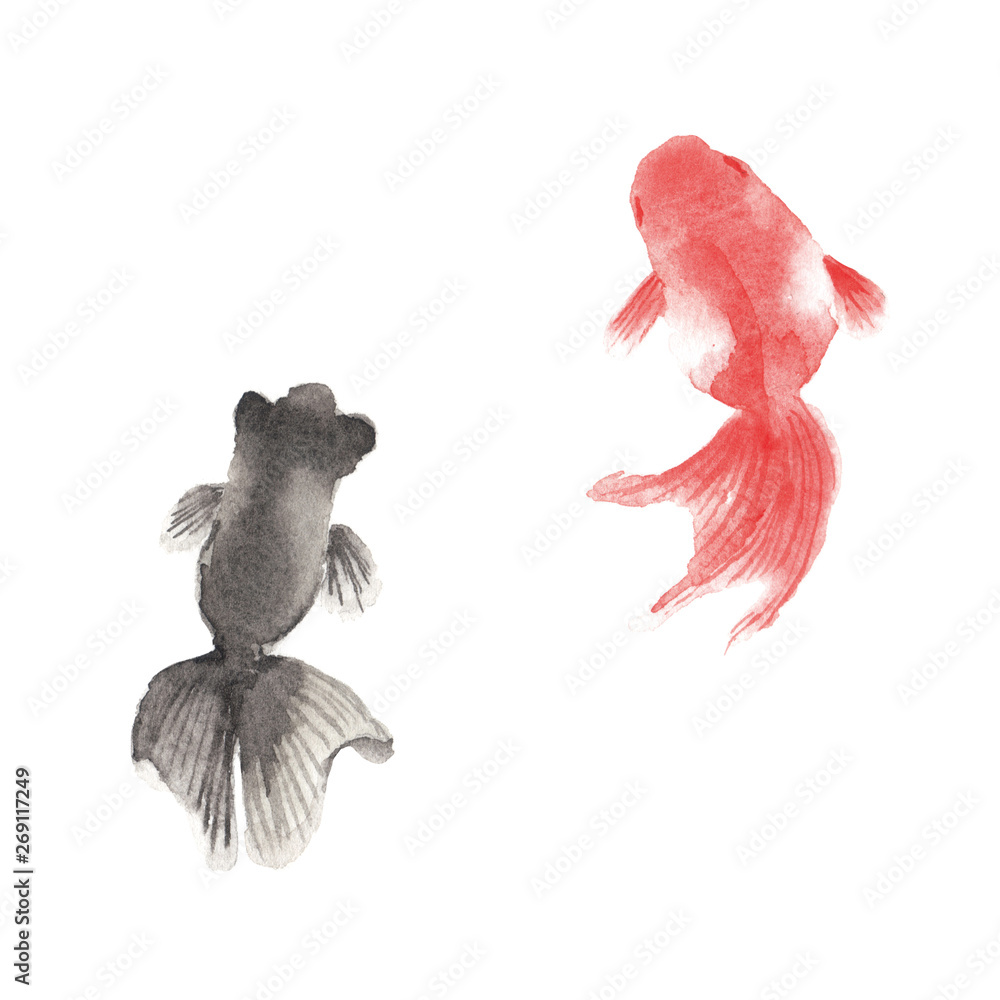 金魚 水彩イラスト Stock Illustration Adobe Stock 金魚 水彩イラスト Stock Illustration Adobe Stock
