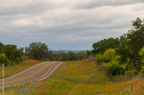 Curvy road through Texas hill country in Spring