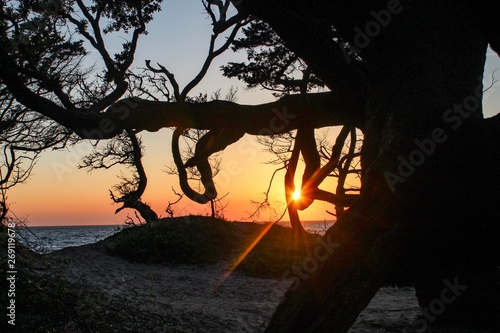 Ocracoke Island Sunset 