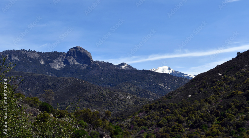 Fototapeta premium morro rock from the valley