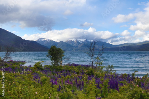 Patagonia landscape argentina