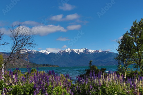 Patagonia landscape argentina