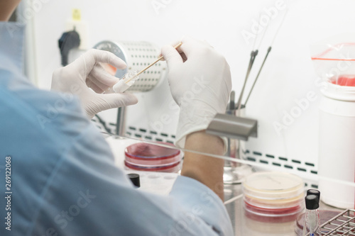 Medical technician scientist working on tube testing in university research laboratory.Blurry lab technologist use cotton swab test with reagent drug resist in biosafety cabinet science room hospital. photo