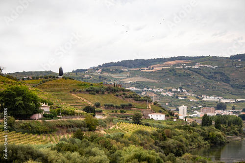 Alto Douro Wine Region in northern Portugal
