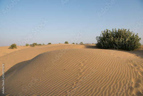 Thar Desert in Jaisalmer, Rajasthan, India