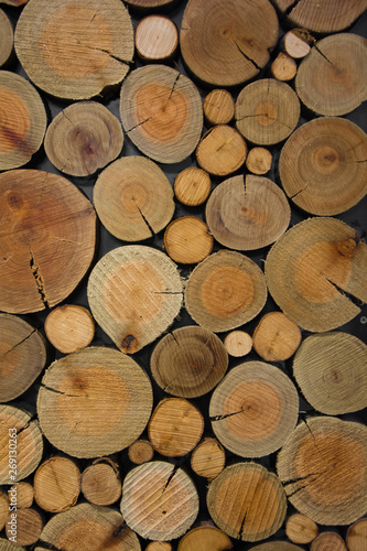 Textura con troncos de madera