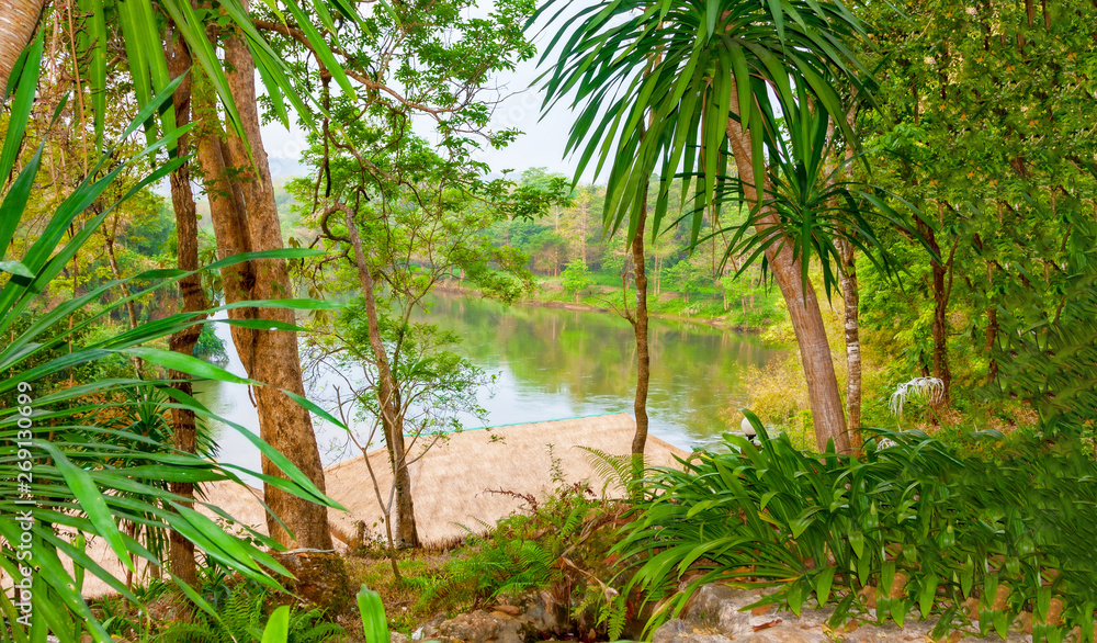 The view from the shore through palm trees on the River Kwai. Th