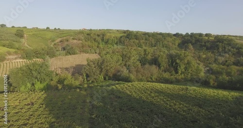 Drone flying over incredible italian wineyards photo