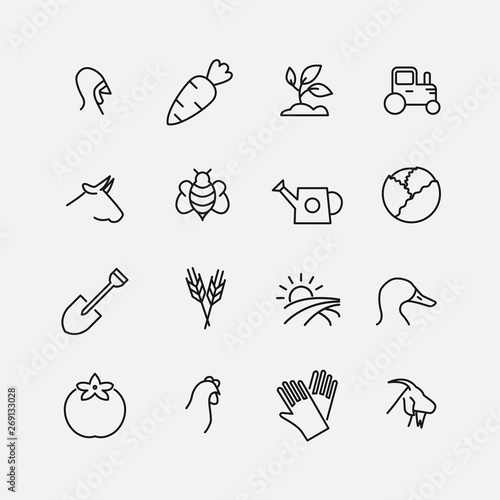 Simple collection of ecotourism related line icons.