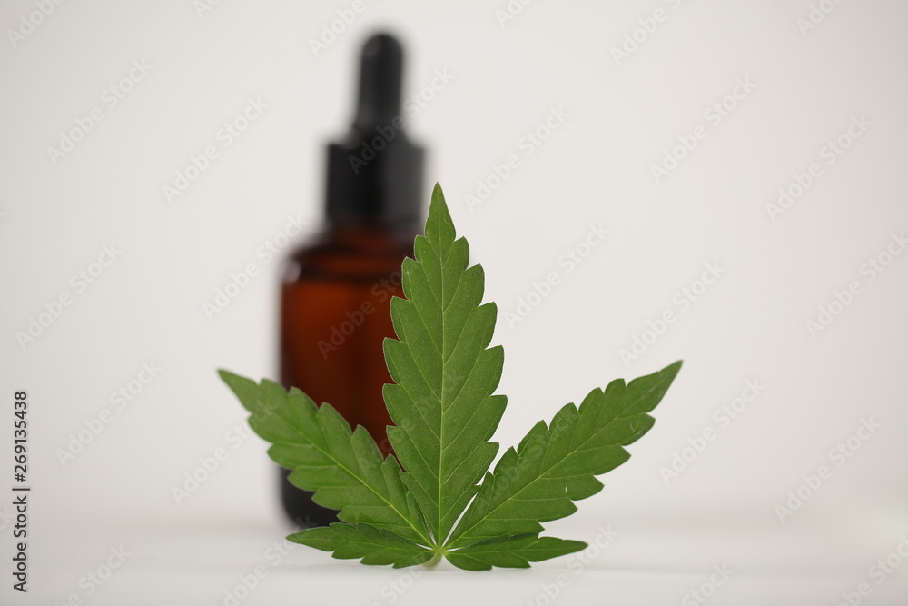Cbd oil hemp leaf. Cannabis marijuana medicine concept Cbd oil hemp leaf. Cannabis marijuana medicine concept