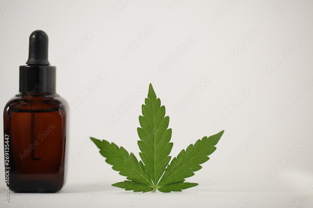 Cbd oil hemp leaf. Cannabis marijuana medicine concept Cbd oil hemp leaf. Cannabis marijuana medicine concept