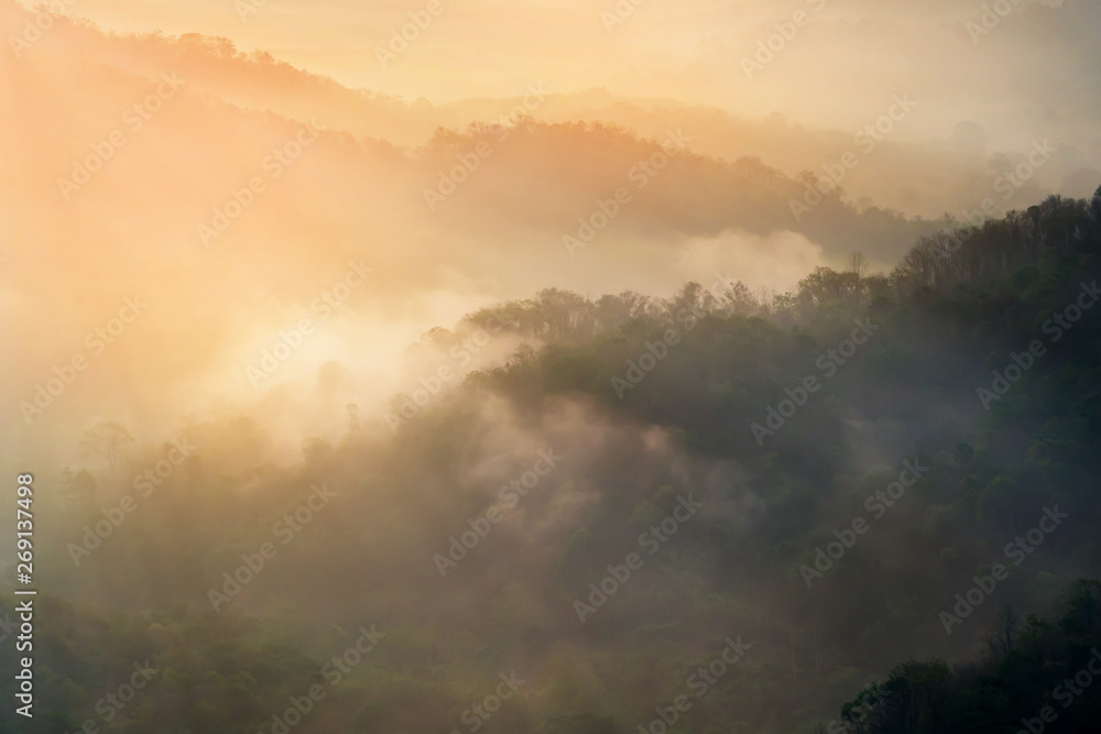 Mountain view at morning with mist. Mountain view at morning with mist.