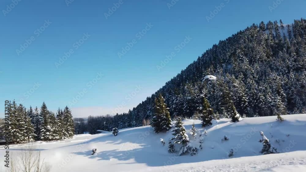 Tree covered hill painted in a fresh coat of snow. Tree covered hill painted in a fresh coat of snow.