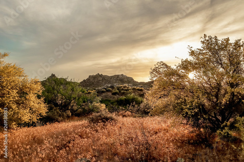 Golden Sunset in North Scottsdale