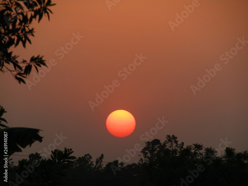 sunset, sun, sky, sunrise, tree, nature, red, orange, landscape, clouds, dusk, silhouette, evening, black, cloud, light, sunlight, beautiful, night, dawn, y