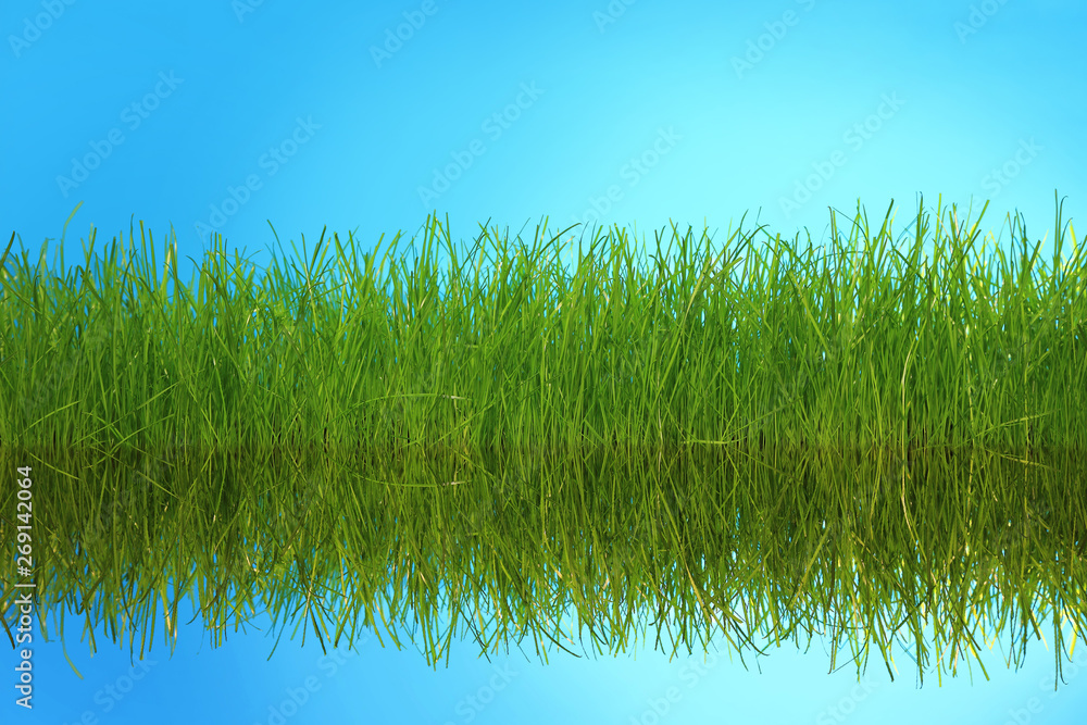 Zielona trawa odbita w wodzie. - obrazy, fototapety, plakaty 