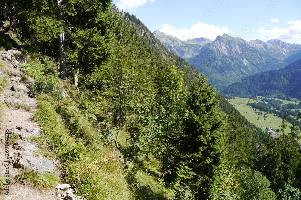 Fototapeta premium Wanderweg im Allgäu in den Alpen bei Bad Hindelang
