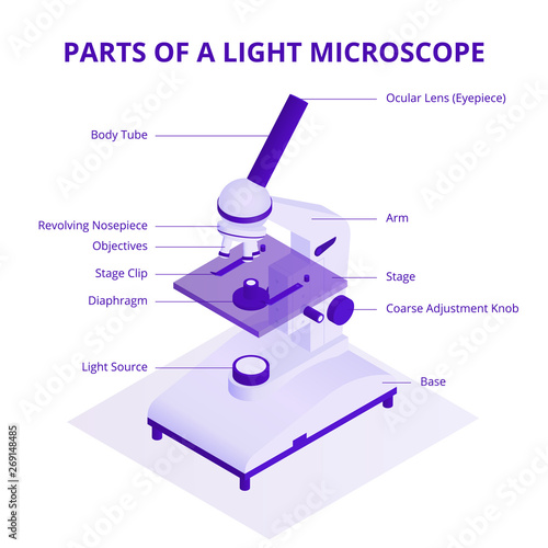 Microscope isometric illustration with light microscope parts infographic elements isolated on white background.