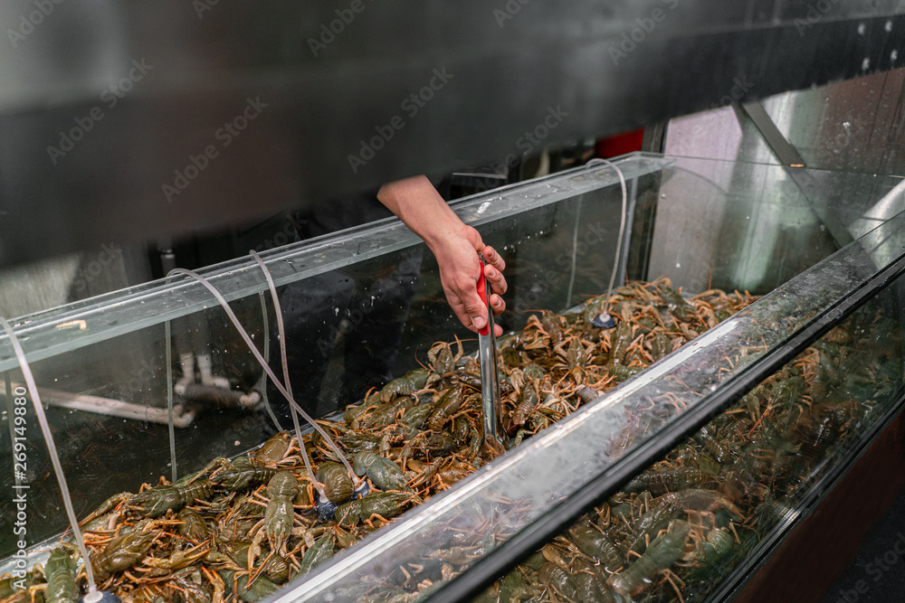 The dealer pulls the crayfish out of water. Crab, crayfish, Oysters for sale in a water aquariums at the street market in France. Seafood concept.