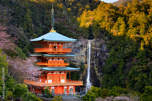Japanese pagoda and waterfall photo