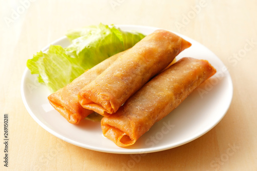 春巻き　Spring Roll