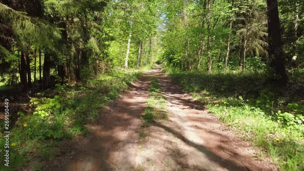 Forest road. Unpaved surface. Flying a drone trough the forest. Green trees, sunny day. Slow, cinematic shot. Forward move and camera rise. Spring 2019. Forest road. Unpaved surface. Flying a drone trough the forest. Green trees, sunny day. Slow, cinematic shot. Forward move and camera rise. Spring 2019.