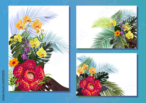 Templates with tropical plants, vertical, horizontal cards: purple Dendrobium, red, yellow Phalaenopsis orchid flowers, Rafflesia, gerbera, monstera, coconut palm leaves. White background, vector, A4