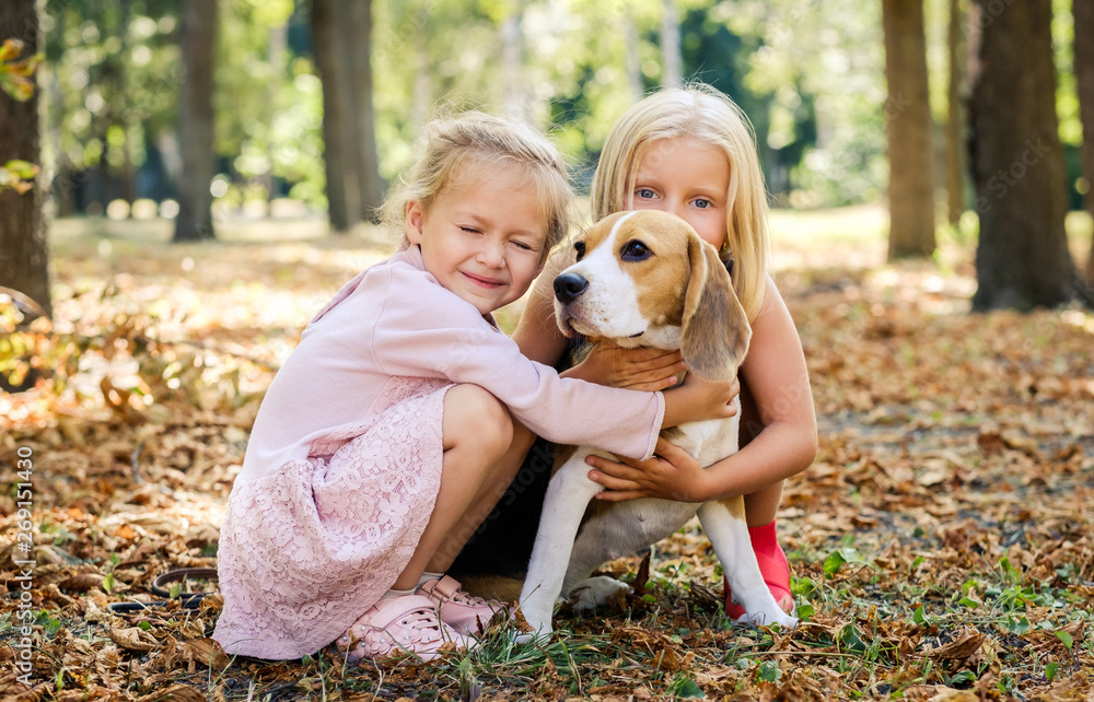 Fototapeta premium Little smiling blond girls sitting together hugging beagle dog in a sunshine autumn park