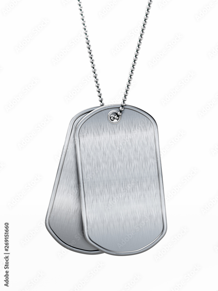 Fototapeta premium Blank soldier dogtags isolated on white background. 3D illustration