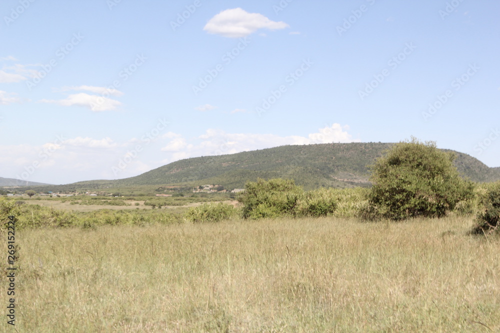 Fototapeta premium landscape with blue sky and clouds in Masai Mara