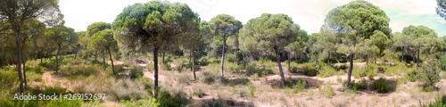 PARQUE NACIONAL DE DOÑANA