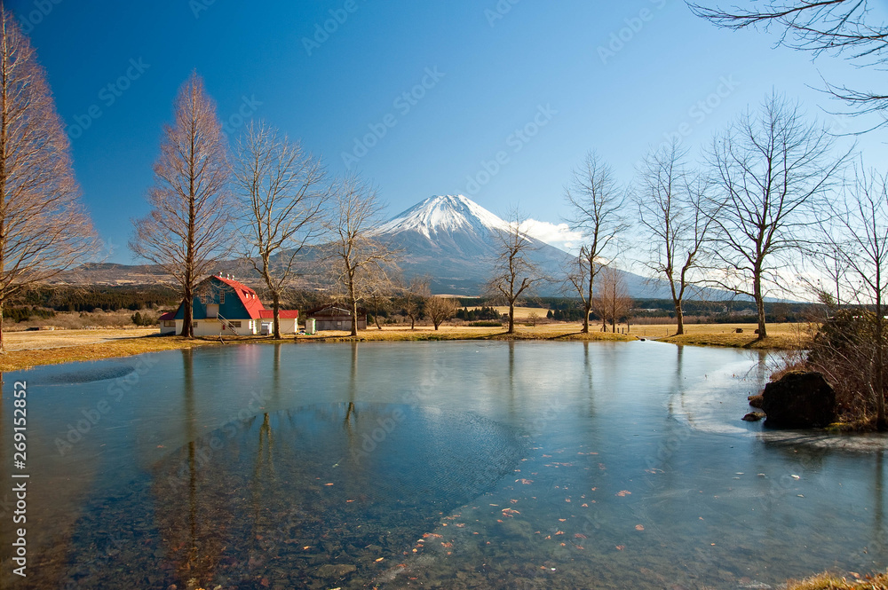 きれいに樹木が配置された富士山が見える湖