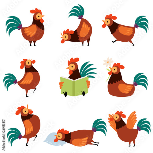Fotografiet Collection of Roosters with Bright Plumage in Different Situations, Farm Cocks C
