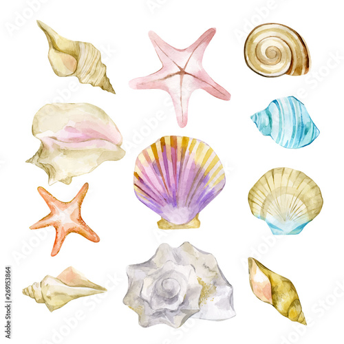 Hand-drawn watercolor vector illustration of the under the ocean. Aquarelle composition of exotic sea shells collection and starfish isolated on a white background. Paint tropical scallop. Top view.