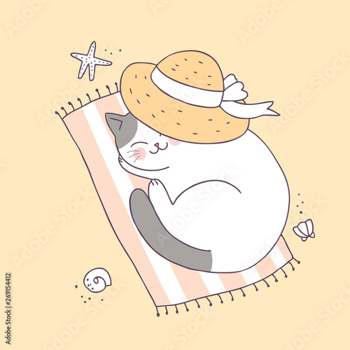 Cartoon cute summer cat sleeping vector.