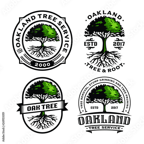 Set Oak Tree and Root logo template