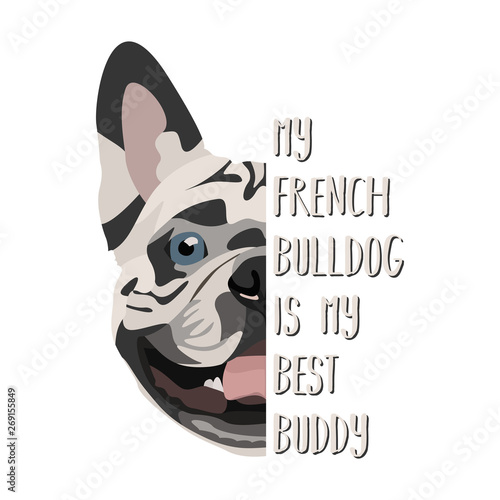 Bester Freund Französische Bulldogge