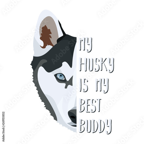 Bester Freund Husky