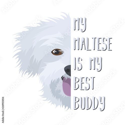 Bester Freund Malteser