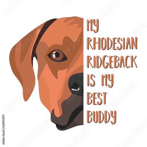 Bester Freund Rhodesian Ridgeback